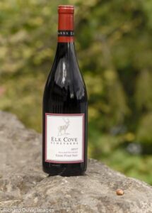 elk cove pinot noir