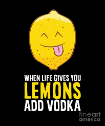 vodka funny 2