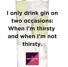gin funny2